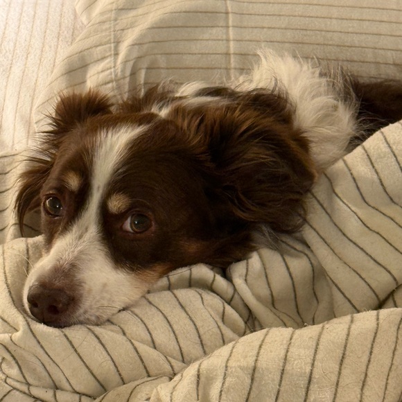 Meet your Posher, Nan - Picture 1 of 1